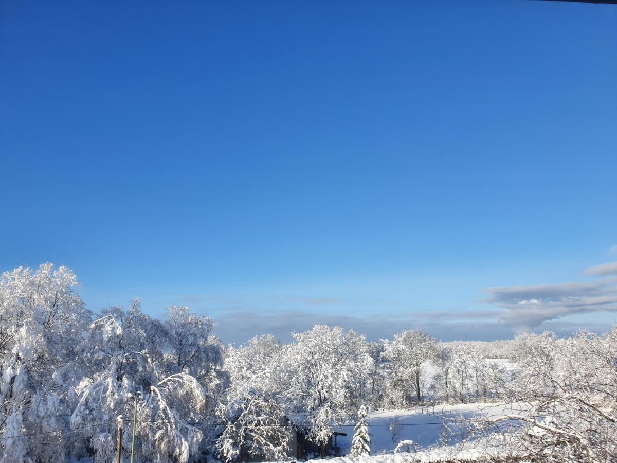 Energetischer Urlaub In Der Eifel Germeter Exterior foto