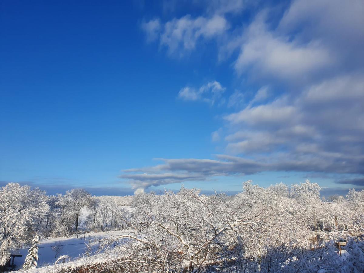 Energetischer Urlaub In Der Eifel Germeter Exterior foto